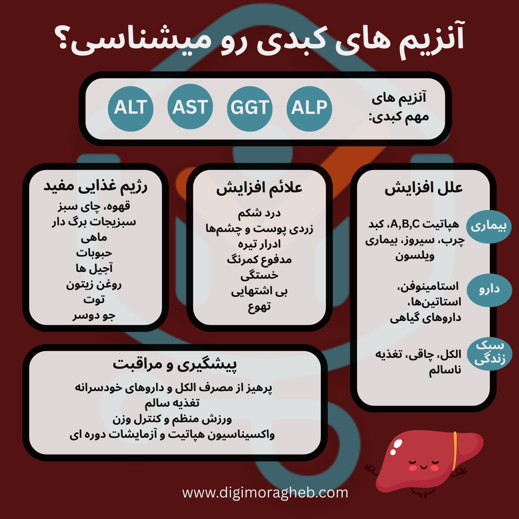 اینفوگرافیک انواع آنزیمهای کبدی مهم