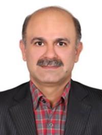 دکتر حسین مجیدی نیا