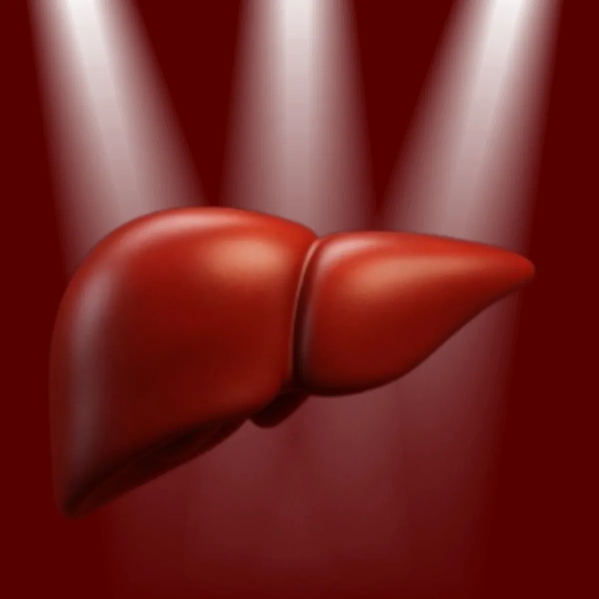 آنزیمهای کبدی چیست؟ از علل افزایش تا تفسیر آزمایش